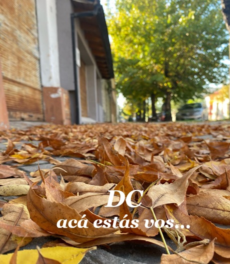 0de58a93-cbf1-4349-b750-e7c67ad4bc44.jpg