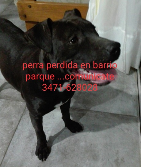 2254d783-add7-42b5-811a-5e39214fc9dc.jpg
