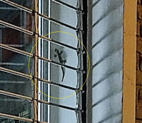 369ad1a5-02e2-47a1-8cfb-0a86dd89e443 (1).jpeg