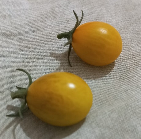 4831ce66-c6c5-44a9-8727-cf556b0ba85f (1).jpeg