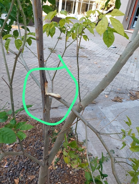 4fee0aeb-81c0-4183-b229-527641501747 (1).jpeg