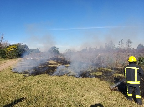 59b49a80-8742-42ec-a4b4-c8a7bc3f84bf (1).jpg