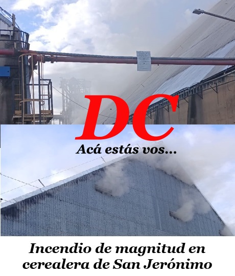 6175bef4-2649-4ec1-b266-0c7033e.jpg