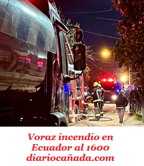 6520bed8-ec45-4559-836a-eefaf546c219.jpg