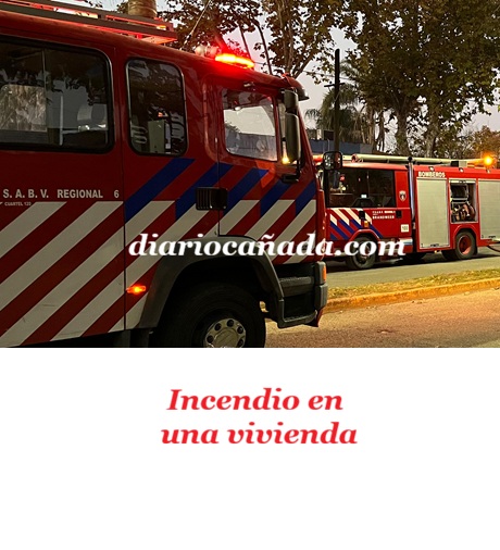 694d87a3-9ffb-45be-8c21-e04c5ac62fbe.jpg