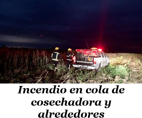 6e01ba2e-a6f2-4699-8410-f8f3f3dc3f9a.jpg