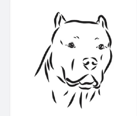 70005cfe-c665-4da3-964c04ff4.jpeg