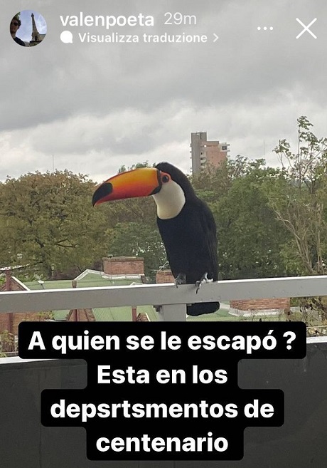 76594023-69ec-4b17-af84-da12fedffd71 (1).jpg