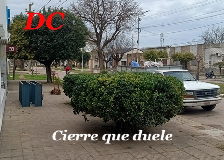 873599cb-18d9-403e-84ab-123396b91d53.jpg