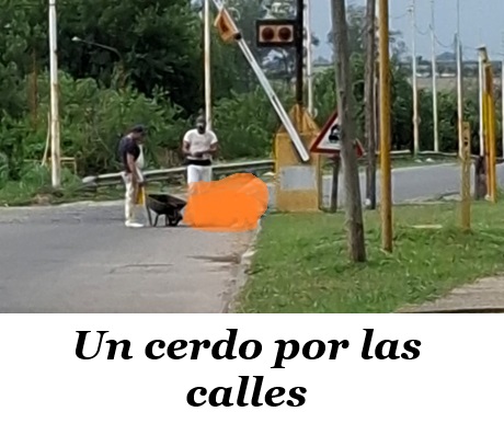 9c9faa44-68cf-4a3a-b399-14b965cfef26.jpg