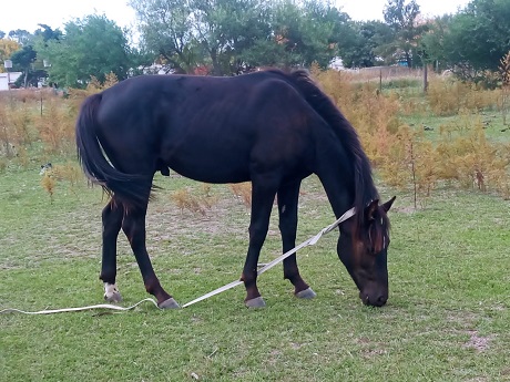 9fcdcd58-66ce-4024-93db-c514e08c5014 (1).jpg