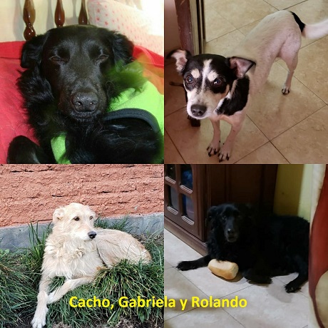 Cacho Gabriela y Rolando.jpg