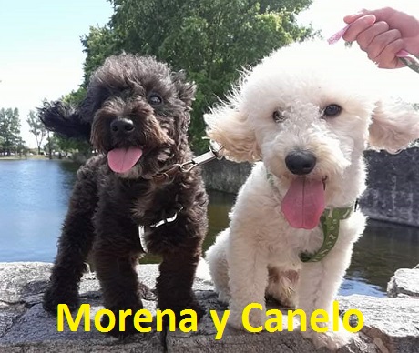 Cancelo y Morena.jpg