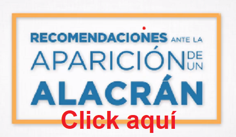 Captura de pantalla 2024-01-28 131002.png