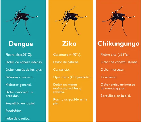 Captura de pantalla 2024-02-10 110903.png