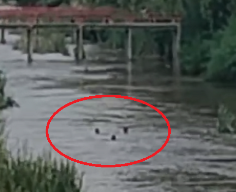 Captura de pantalla 2024-03-19 183002.png