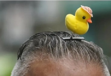 Captura de pantalla 2024-05-19 130924.jpg