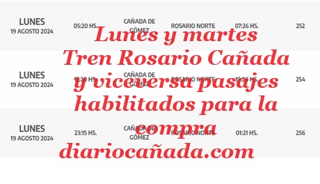 Captura de pantalla 2024-08-16 163211.jpg