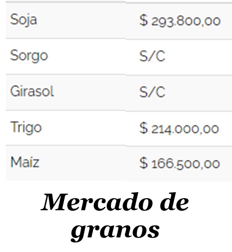 Captura de pantalla 2024-09-11 173805.jpg