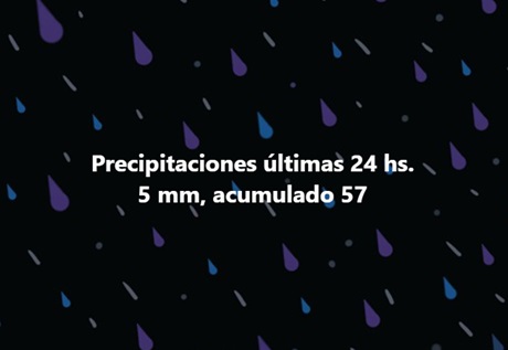 Captura de pantalla 2024-10-15 081425.jpg