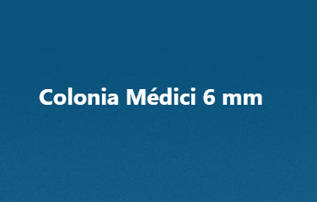 Captura de pantalla 2025-01-18 095803.jpg