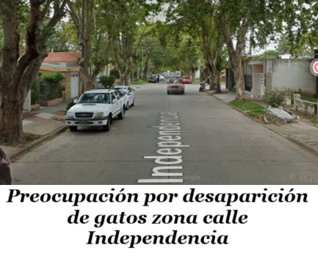 Captura de pantalla 2025-07-24 103515.jpg