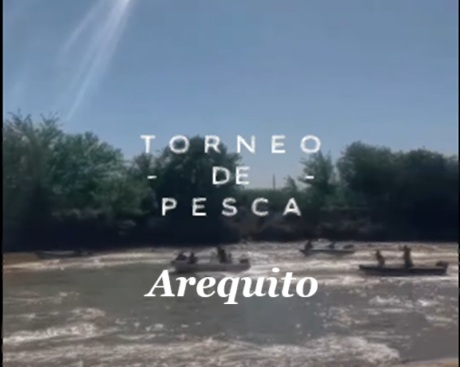 Captura de pantalla 2025-10-16 084436.jpg