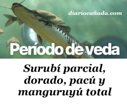 Captura de pantalla 2025-10-31 121500.jpg