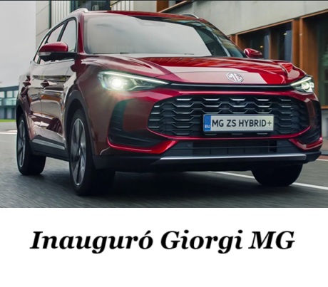 Captura de pantalla 2025-11-18 183209.jpg