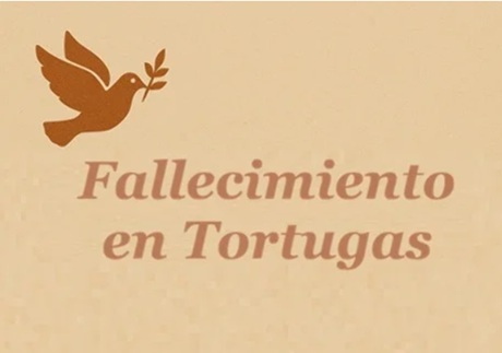 Captura de pantalla 2026-01-06 114932.jpg