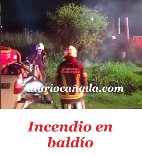 Captura de pantalla 2026-03-01 224128.jpg