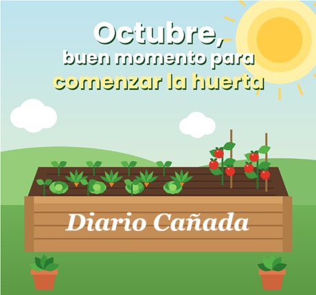Captura de pantalla 2026-10-07 104741.jpg