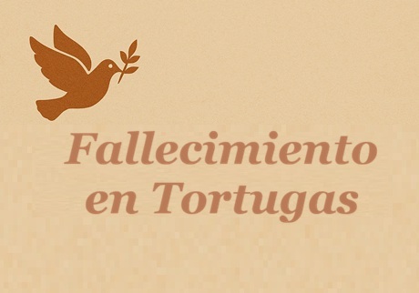 FallecimientoTotugas010126.jpg