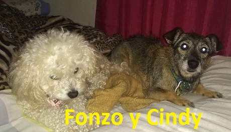 Fonso y cindi.jpg