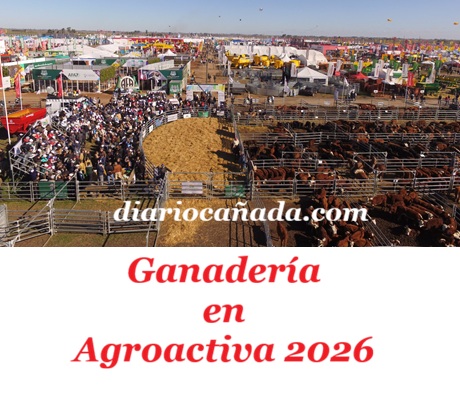 Ganaderia-remates-2048x1536.jpg