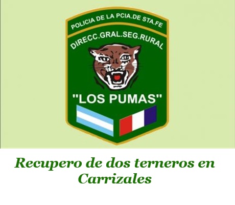 Los pumas.jpg
