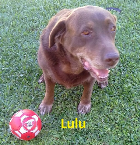 Lulu.jpg