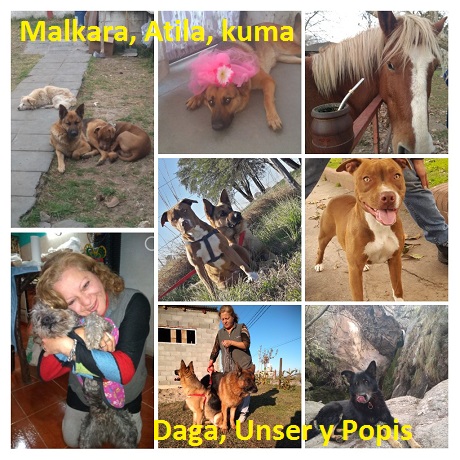 Malacara, Atila, Alma, Kuma, Daga Unser y Popis.jpg