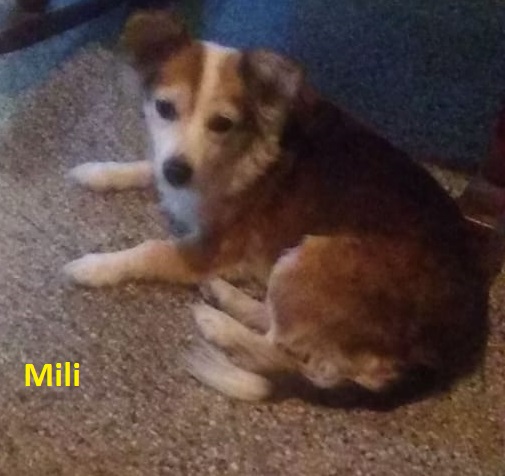 Mili.jpg
