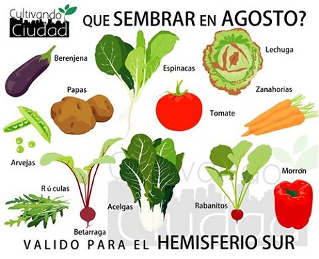 Que-sembrar-en-agosto.jpg