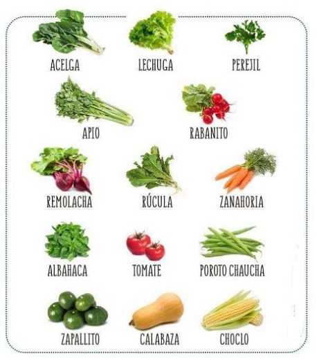 Siembra diciembre.jpg