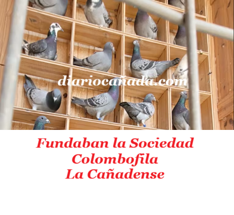 Sociedad colombofica.png