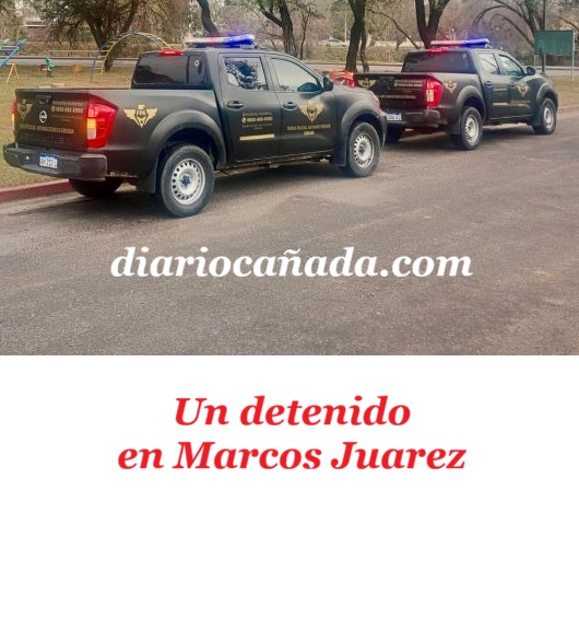 WhatsApp-Image-2026-08-06-at-09.31.50-2-768x578.jpeg