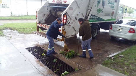 WhatsApp Image 2018-11-13 at 08.32.09 (1)[16166].jpg