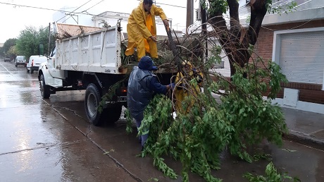 WhatsApp Image 2019-12-26 at 08.33.54.jpg