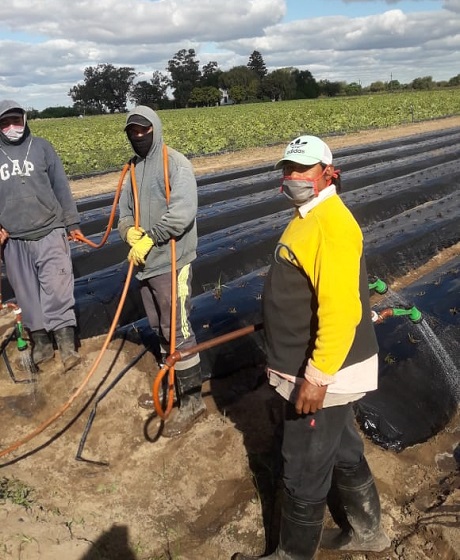 WhatsApp Image 2020-05-07 at 18.01.33 (2).jpeg