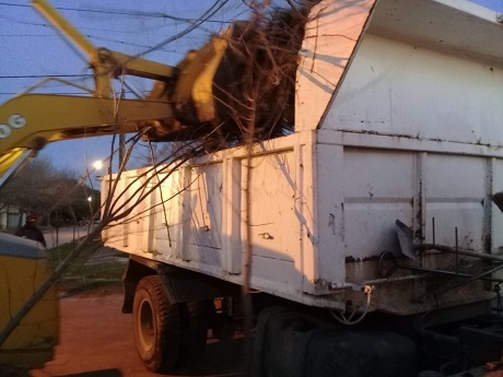 WhatsApp Image 2021-05-27 at 08.32.47[7881].jpg