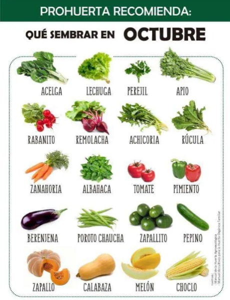 WhatsApp Image 2021-ggrr at 10.37.07[10797].jpg