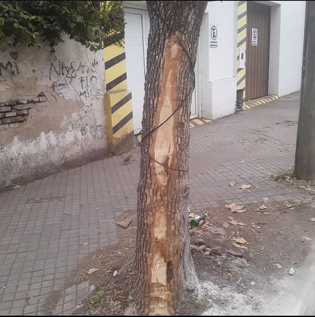 WhatsApp Image 2022-07-11 at 4.08.17 PM[18472].jpg