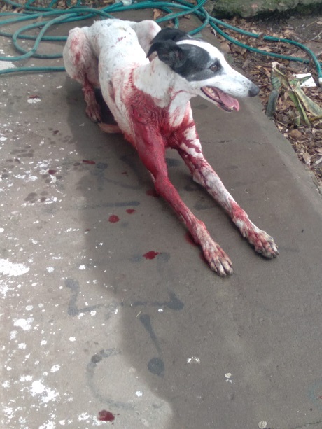 WhatsApp Image 2022-07-25 at 12.22.05 PM.jpeg